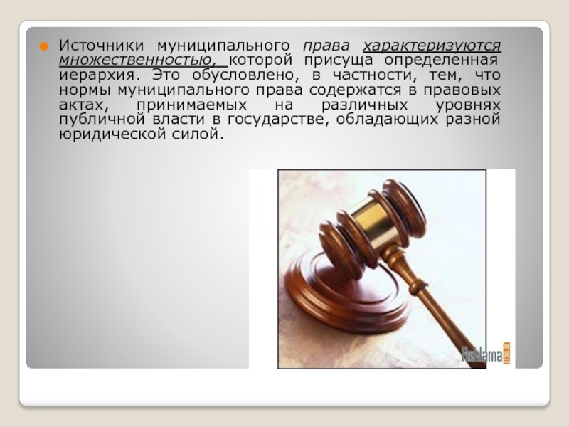 Проект по муниципальному праву