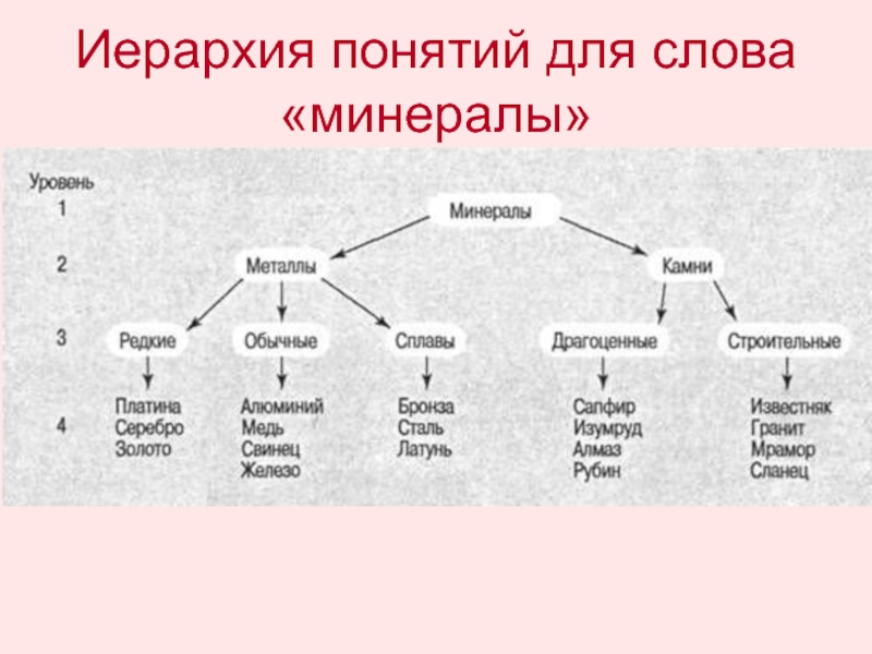 Обведи номера схем с помощью которых можно объяснить понятие иерархия