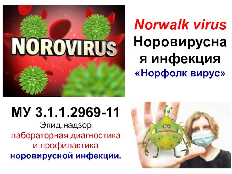Презентация Norwalk virus   Норовирусная инфекция Норфолк вирус