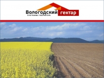 Вологодский гектар