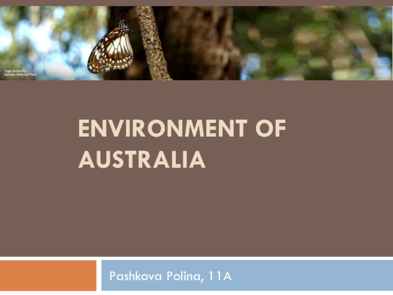 Презентация Environment of Australia