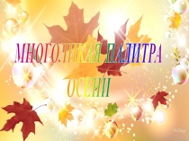 МНОГОЛИКАЯ ПАЛИТРА
ОСЕНИ