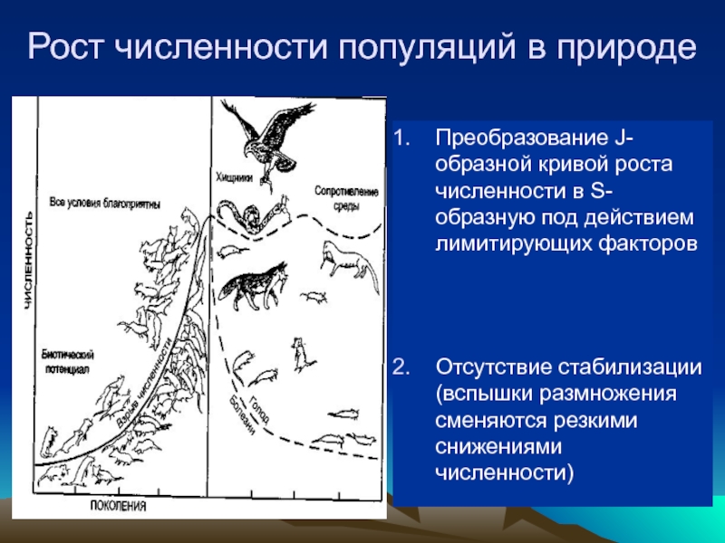 Рост численности популяции. Скорость роста популяции. Кривая роста популяции. Кривая роста численности популяции.