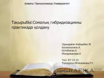 Алматы Технологиялық Университеті
ТақырыбЫ:Сомалық гибридизацияны практикада
