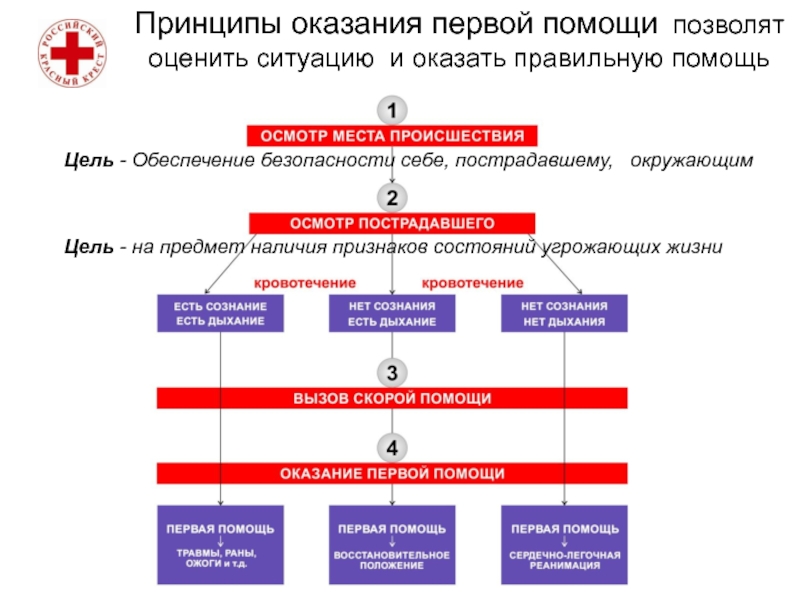 Схема оказания первой помощи на месте происшествия