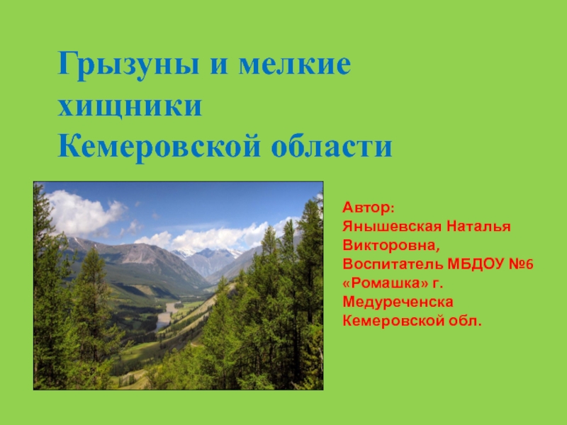 Грызуны и мелкие хищники Кемеровской области