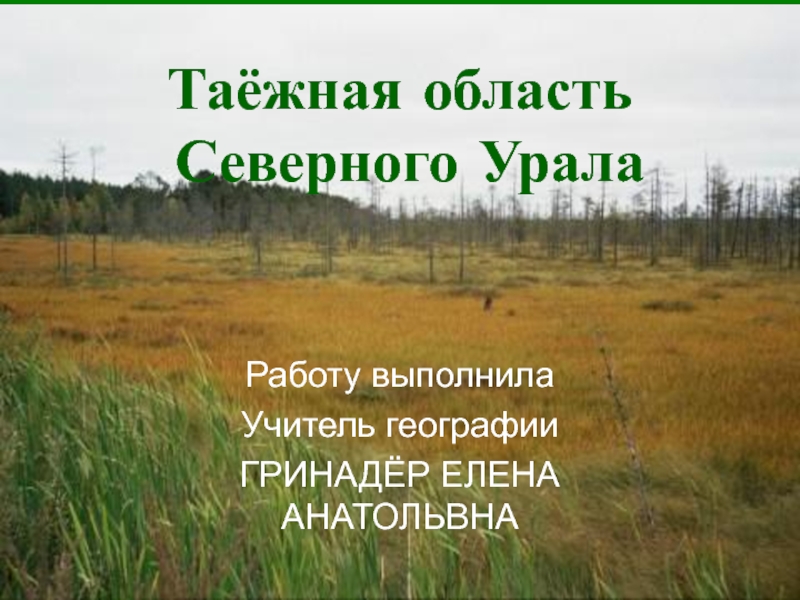 Презентация Таёжная область Северного Урала
