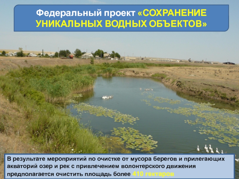 Паспорт федерального проекта сохранение уникальных водных объектов