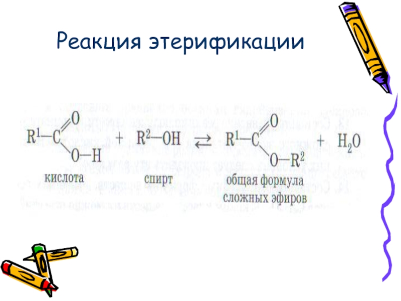 Реакция этерификации. Схема реакции этерификации. Схема этерификации. Реакция этерификации холестерина. Этерификация формула.