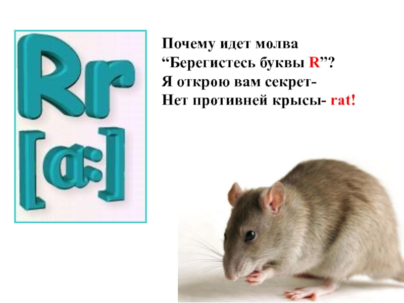 Потому иди. Мышка на букву r. Буква r с крысой. Крыса rat англ яз. Почему идет Молва берегитесь буквы r.