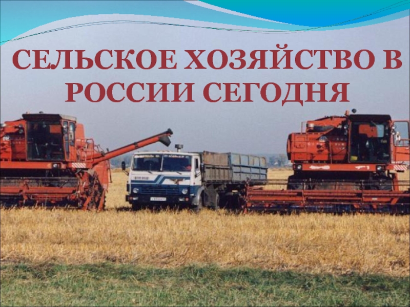 Презентация Сельское хозяйство в России сегодня