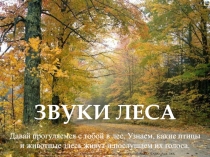 Давай прогуляемся с тобой в лес. Узнаем, какие птицы
и животные здесь живут и