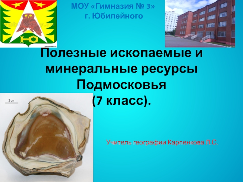 Презентация Полезные ископаемые и минеральные ресурсы Подмосковья (7 класс).
