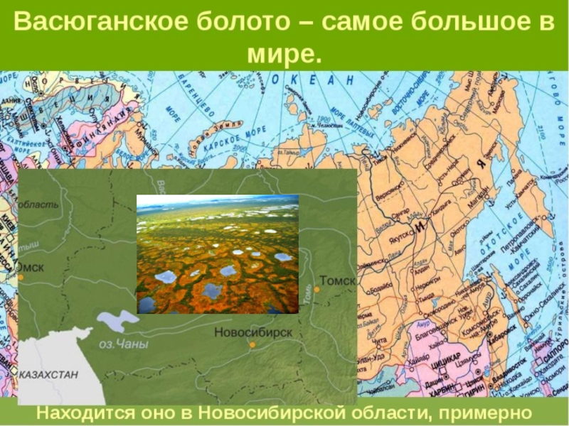 Где находится болотное. Большое Васюганское болото на карте России. Карта Сибири Васюганское болото. Васюганские болота на карте России. Васюганская равнина на карте Западной Сибири.