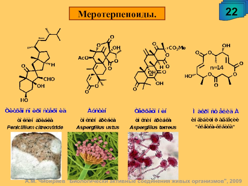 Презентация на тему терпеноиды