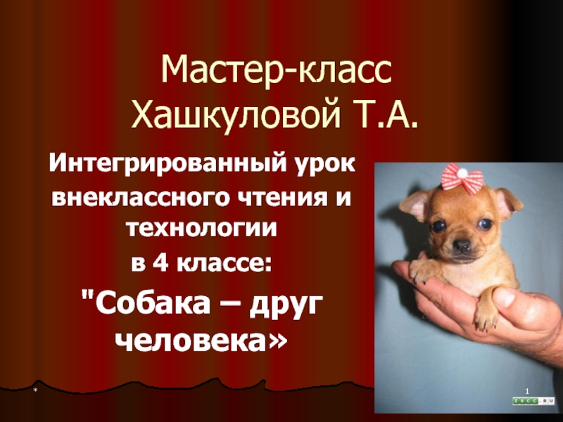 Презентация Собака – друг человека