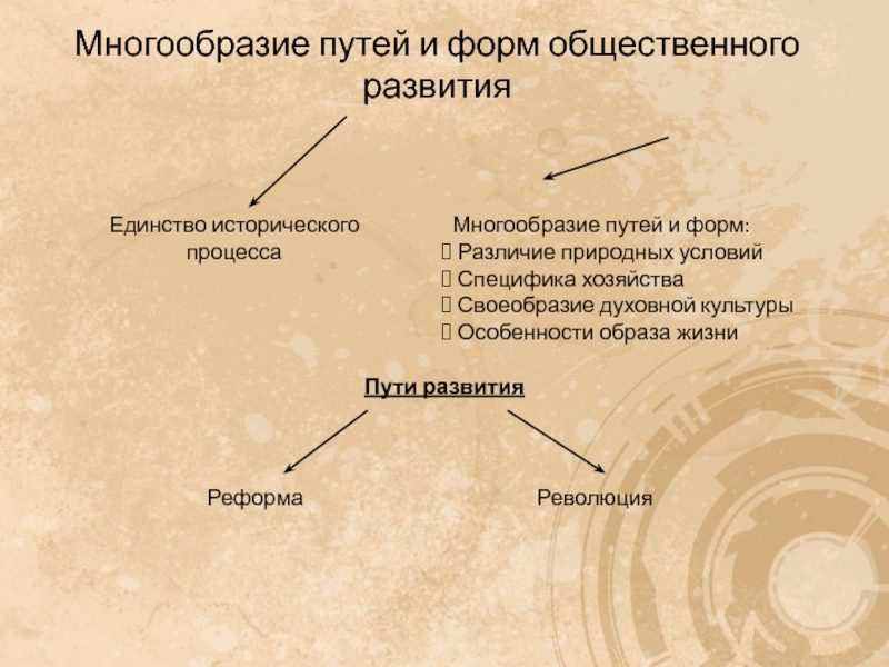 Различие природных условий. Многообразие путей и форм общественного развития.