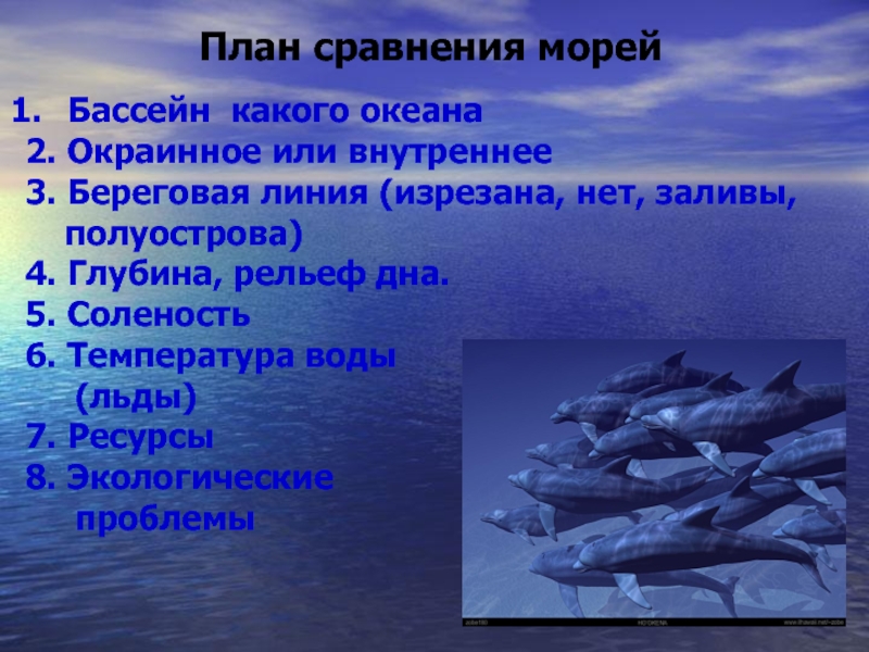 План сравнительной характеристики морей