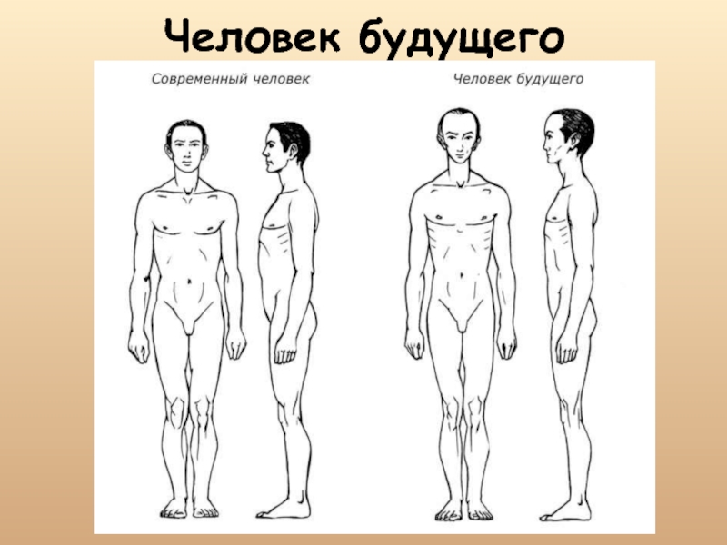 Изображение человека и образ человека. Человек будущего Эволюция. Внешний вид человека будущего. Эволюция человека в будущем. Эволюция человеческого тела в будущем.