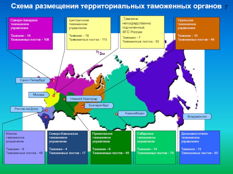 Схема таможенных органов рф