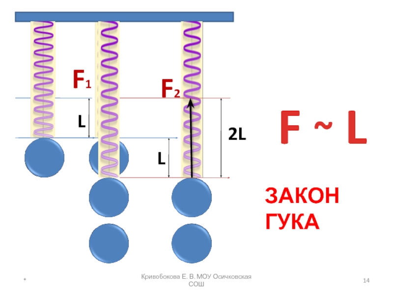 Проект закон гука