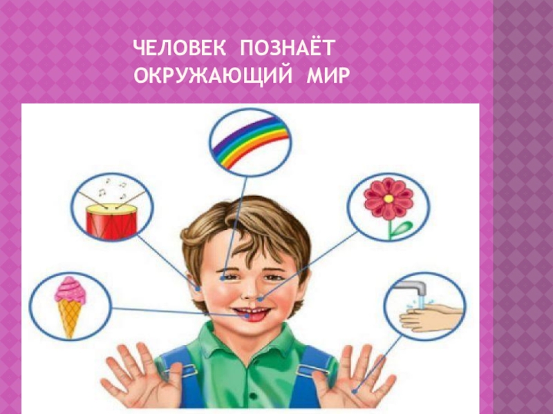 Как человек познает окружающий природу 2 класс. Человек познает окружающий мир. Как челрвек познаёт мир. Позы человека. Как человек познает миф.