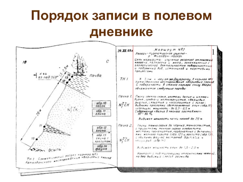 Полевой журнал геолога образец