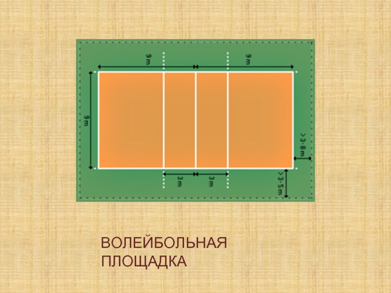 Волейбольное поле рисунок сверху