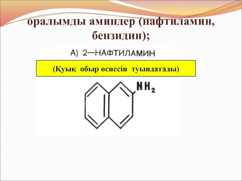 Ароматты аминдер презентация