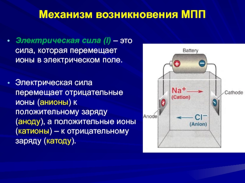 Презентация электрические силы