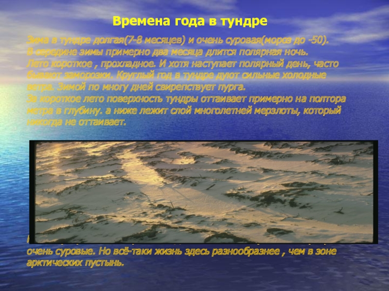 Особенности природы тундры. Неживая природа тундры. Условия неживой природы в тундре. Неживая природа тундры 4 класс.