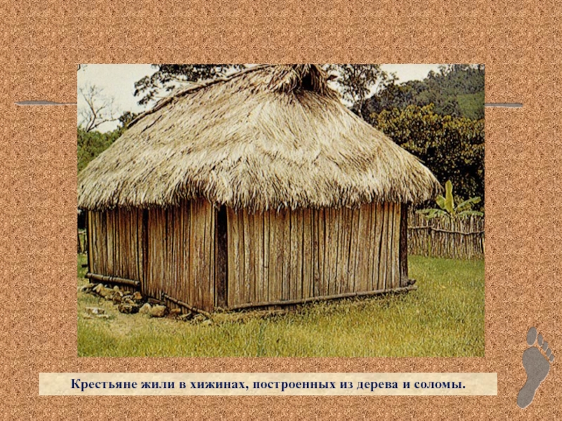 Крестьяне жили в хижинах, построенных из дерева и соломы.