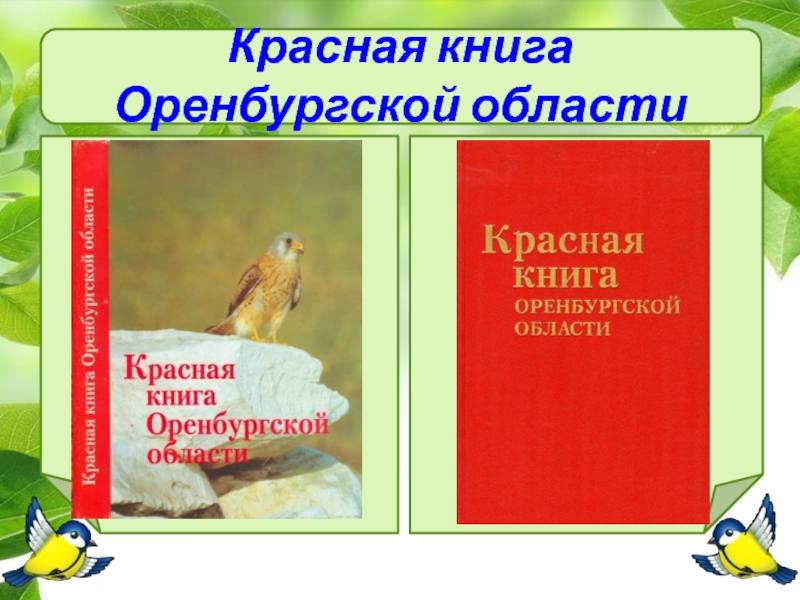 Презентация красная книга оренбургской области растения