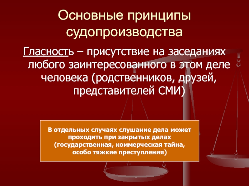 Принципами судопроизводства являются гласность судопроизводства. Гласность судопроизводства.