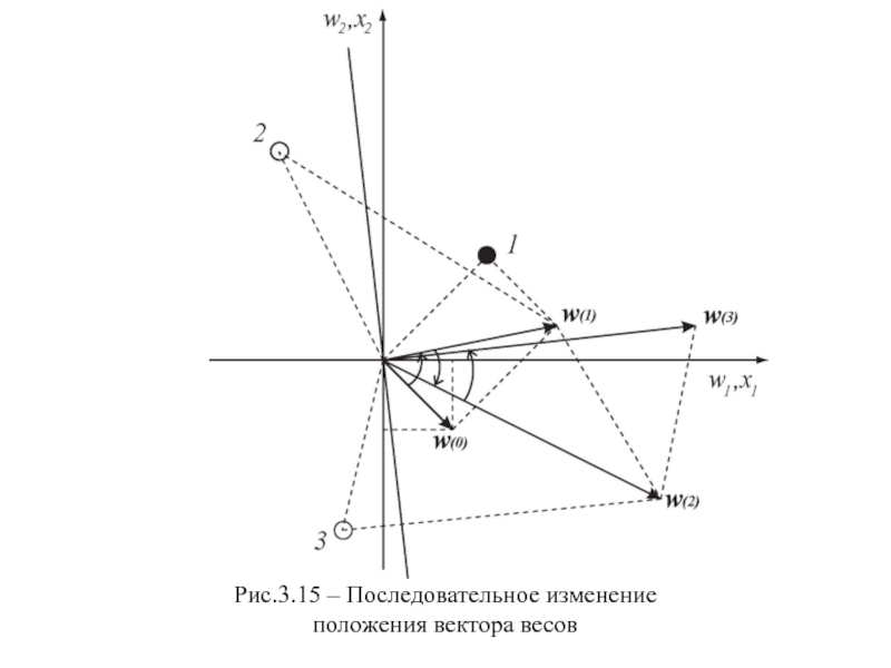 Вектор положения