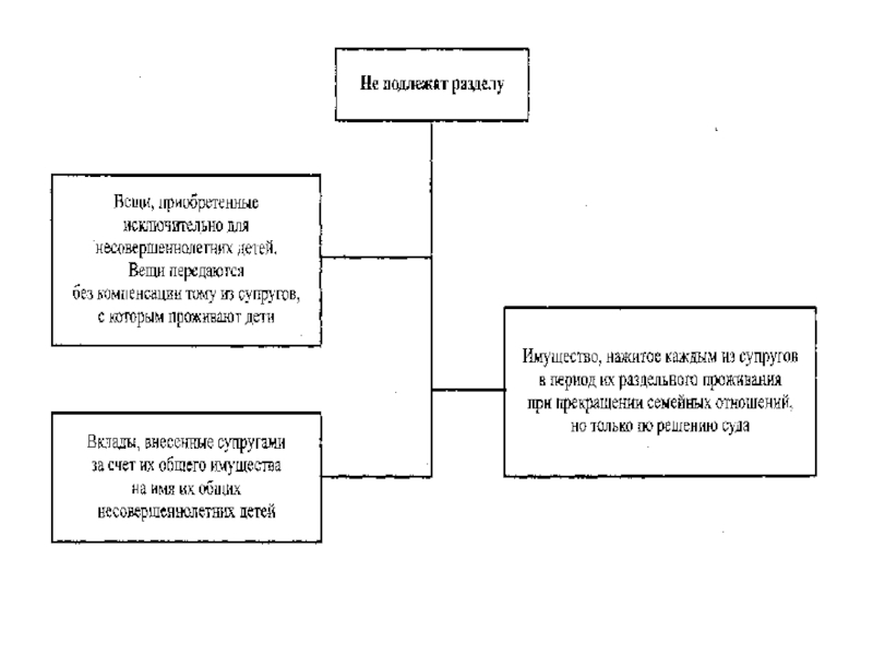 План по теме семейное право в рф