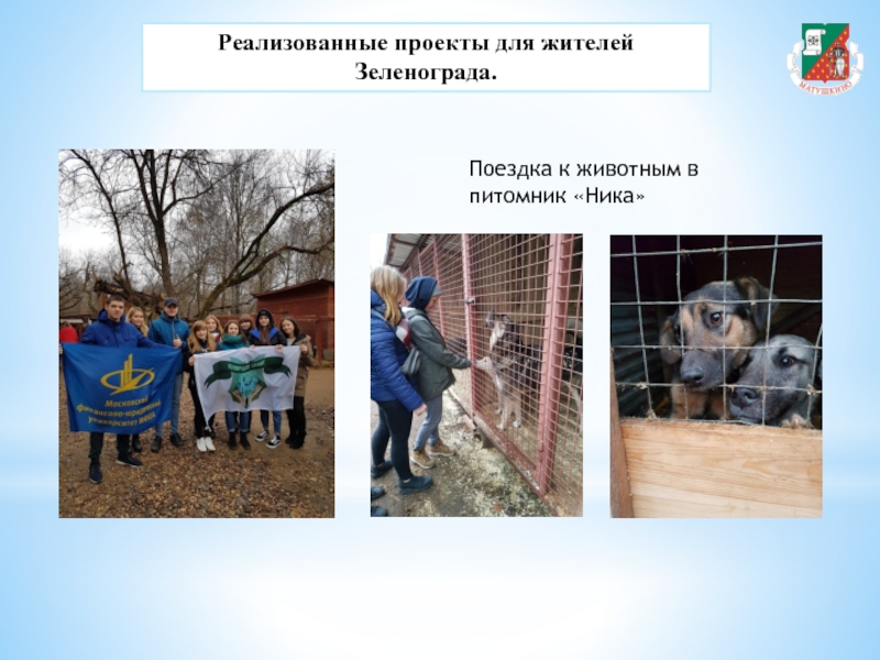 Реализованные проекты для жителей Зеленограда.Поездка к животным в питомник «Ника»