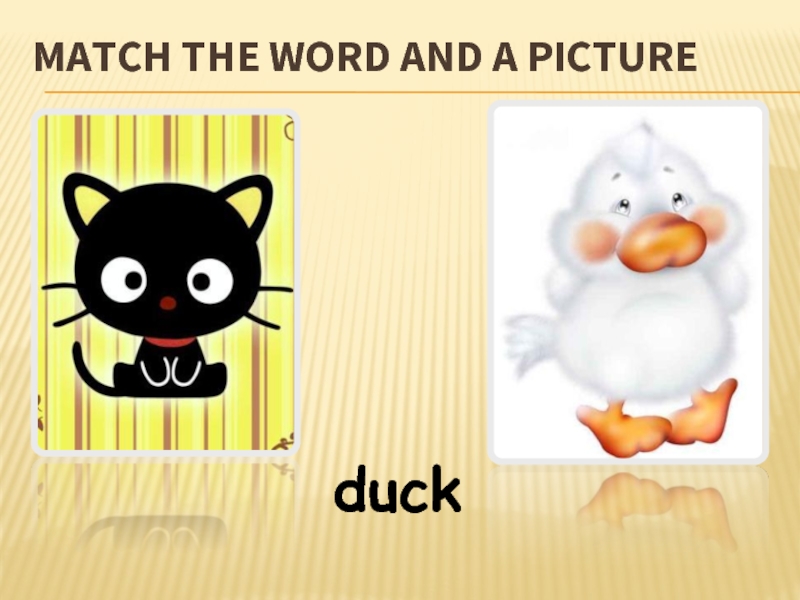 MATCH THE WORD AND A PICTUREduck
