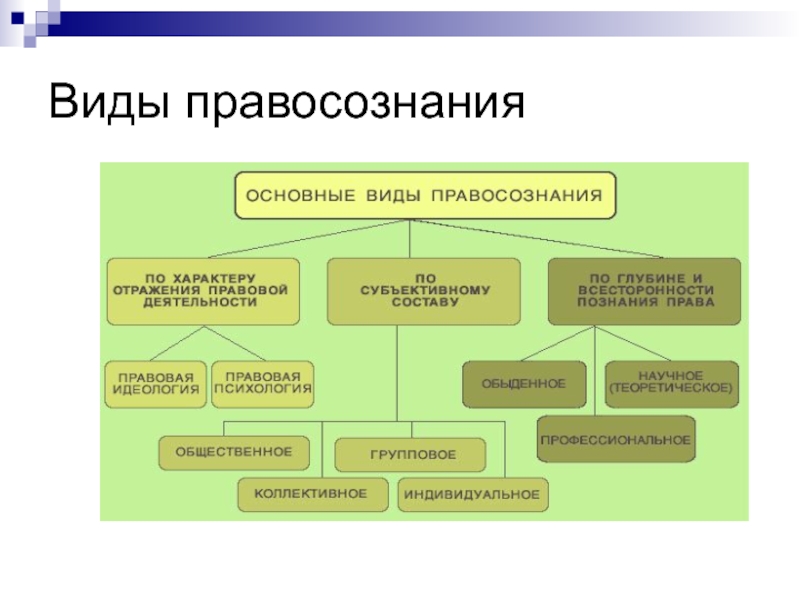 Правосознание предполагает составьте схему