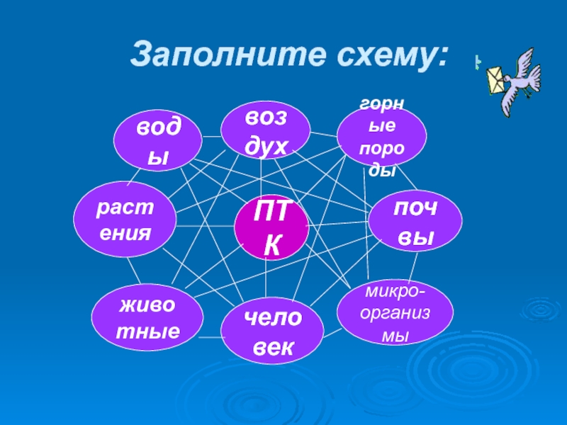 Птк. ПТК России презентация. Заполните схему ПТК. Комплект ПТК рас. Животные и человек ПТК.