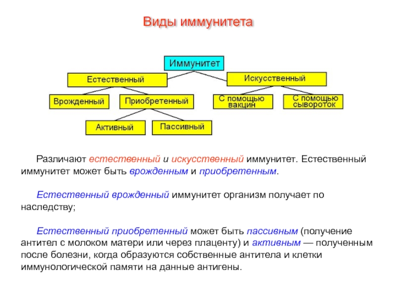 Иммунитет естественный и искусственный схема