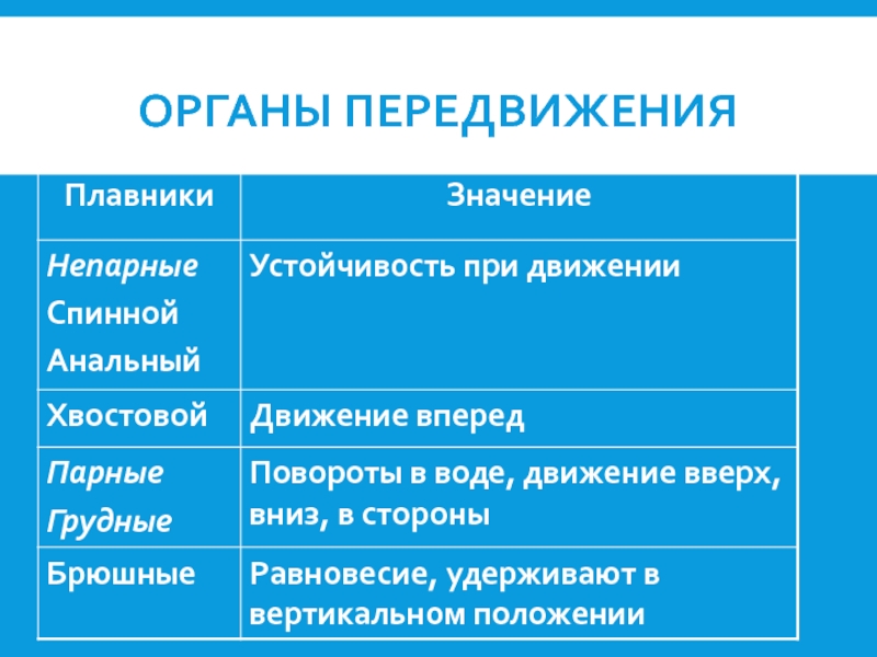 Функции рыбы. Органы передвижения. Органы передвижения — плавники. Функции плавников у рыб. Характеристика органов передвижения у рыб.