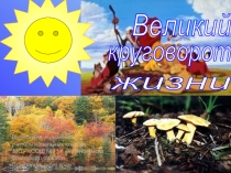 Великий круговорот жизни