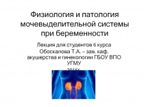 Физиология и патология мочевыделительной системы при беременности