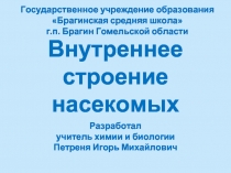 Внутреннее строение насекомых