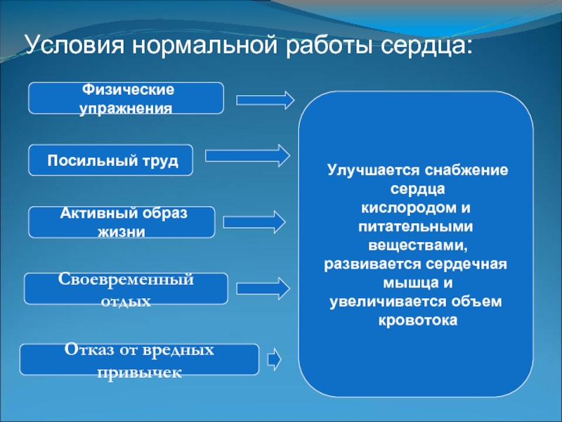 Гигиена сердечной системы. Правила гигиены сердечно-сосудистой системы и обоснование. Снабжение кислородом и питательными веществами. Снабжение сердца кислородом. Возможность увеличения снабжения кислородом сердца связана:.