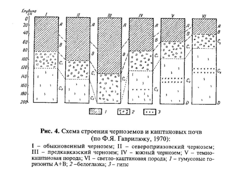 Черноземные почвы схема