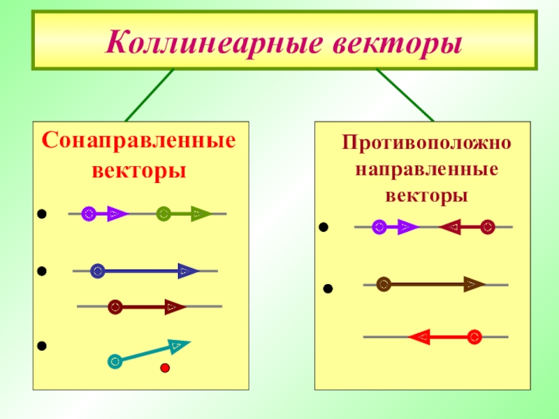 Сонаправленные. Коллинеарные сонаправленные векторы. Коллинеарные противоположно направленные векторы. Коллинеарные векторы сонаправленные и противоположно направленные. Сонаправленные и противоположно направленные векторы.