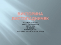 Викторина по произведению 