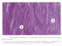 2 занятие.ppt